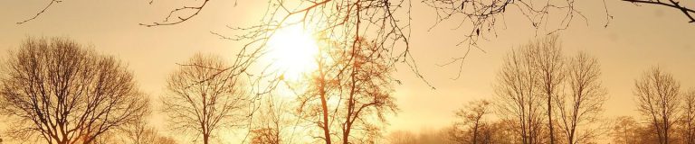 Ein Brief an die Sonne